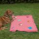 Pet Blanket