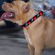  Shark Love Bite Pet Belt
