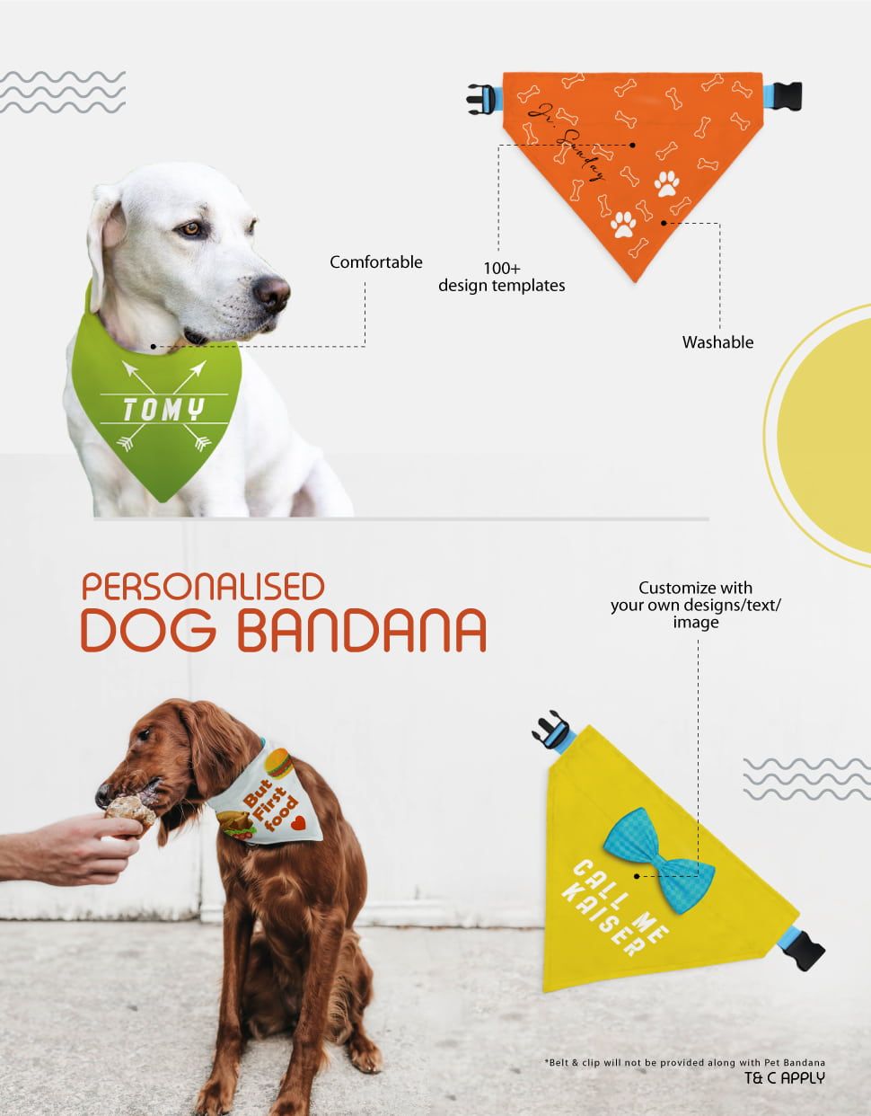 dog bandana